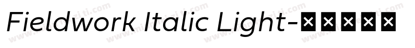 Fieldwork Italic Light字体转换